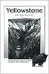 Yellowstone on My Mind