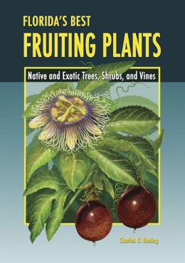 Florida's Best Fruiting Plants: Native and Exotic Trees, Shrubs, and Vines Charles R Boning