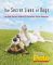 The Secret Lives of Dogs: The Real Reasons Behind 52 Mysterious Canine Behaviors
