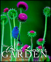 Bird Lovers Garden
