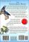 The Songbirds Bible: A Visual Directory of 100 of the Most Popular Songbirds in North America