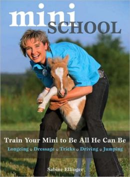Mini School: Train Your Mini to Be All He Can Be
