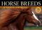 Horse Breeds of North America