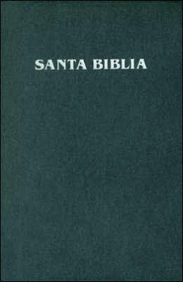 Pocket Bible-RV 1909