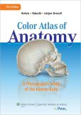Book Cover Image. Title: Color Atlas of Anatomy:  A Photographic Study of the Human Body, Author: Elke Lutjen-Drecoll