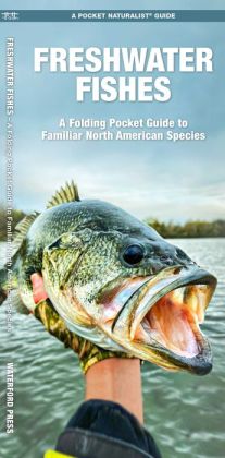 Freshwater Fishes: An Introduction to Familiar North American Species