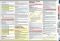 Essays and Term Papers (SparkCharts)