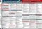 United States Government/Civics (SparkCharts)