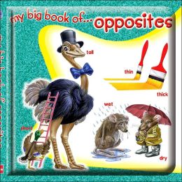 My Big Book of Opposites