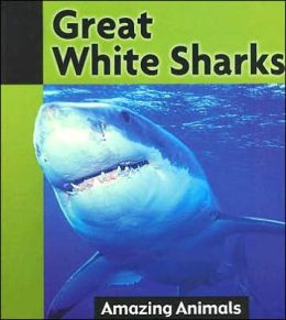 Great White Sharks