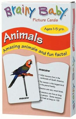 Animals Flash Cards