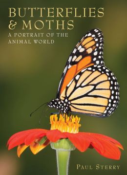 Butterflies & Moths: A Portrait Of The Animal World