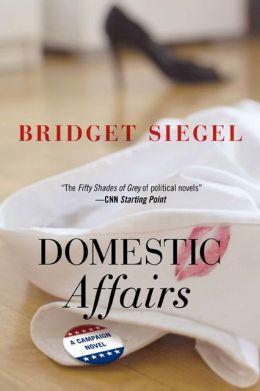 Domestic Affairs: A Campaign Novel