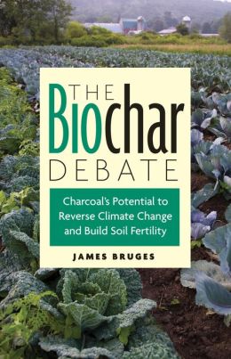 The Biochar Debate: Charcoal's Potential to Reverse Climate Change and Build Soil Fertility