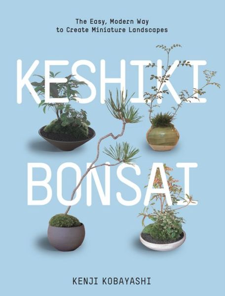 Keshiki Bonsai: The Easy, Modern Way to Create Miniature Landscapes