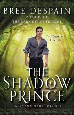 Into the Dark Book #1: The Shadow Prince