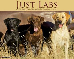 2014 Labs Wall Calendar