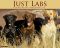 2014 Labs Wall Calendar