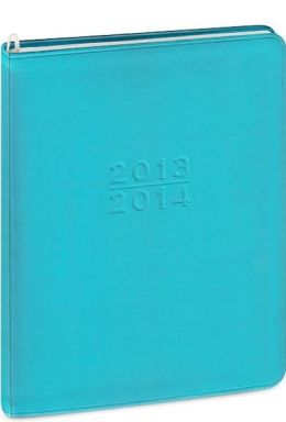 2014 18-Month Monthly Desk Blue Metal Kid Large Planner Calendar