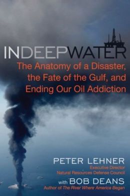 In Deep Water: The Anatomy of a Disaster, the Fate of the Gulf, and Ending Our Oil Addiction