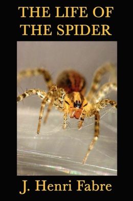The Life Of The Spider