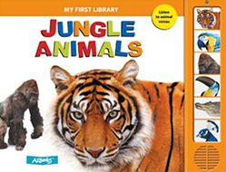 Jungle Animals