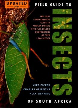 Field Guide to Insects of Southern Africa