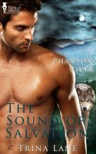 Cover Image: The Sound of Salvation