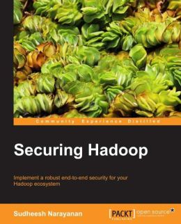 Securing Hadoop