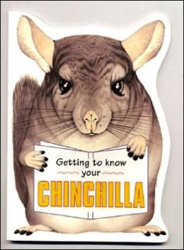 Getting to Know Your Chinchilla