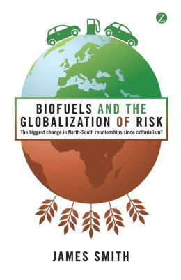 Biofuels and the Globalisation of Risk: The Biggest Change in North-South Relationships since Colonialism?