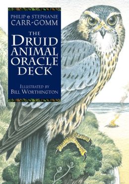 Druid Animal Oracle Deck Philip Carr-Gorman