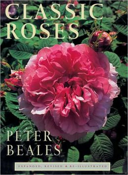 Classic Roses