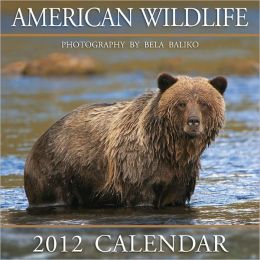 2012 American Wildlife Wall Calendar