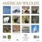 2012 American Wildlife Wall Calendar