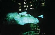 Tony Oursler: The Influence Machine