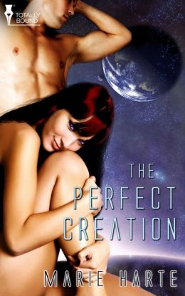The Perfect Creation