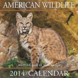 2014 American Wildlife Wall Calendar