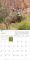 2014 American Wildlife Wall Calendar