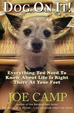 Dog On It!: Everything You Need To Know About Life Is Right There At Your Feet Joe Camp