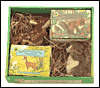 Smithsonian Backyard: Where Children Discover Nature: Fawn & Squirrel
