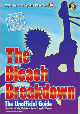The Bleach Breakdown: The Unofficial Guide