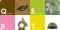 Charley Harper ABCs II (Skinny Edition)