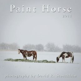 2010 Paint Horse Calendar David R. Stoecklein