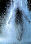 Bill Viola