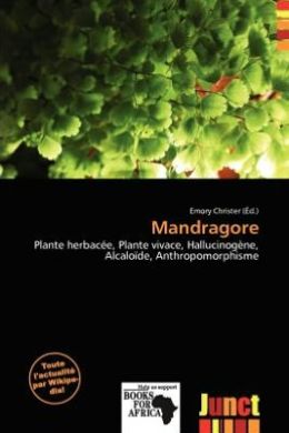 Mandragore